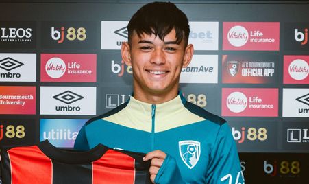 增添了新的 增添了新的